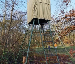 Waldtag 04