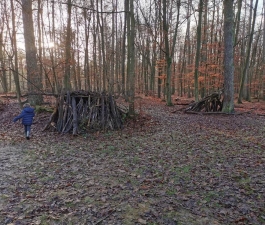 Waldtag 05